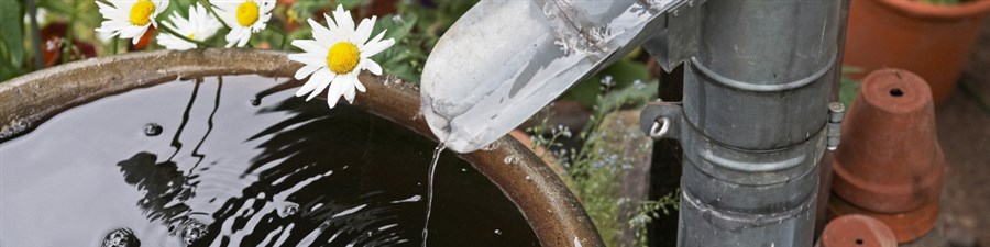 Bericht Vang regenwater op en scheid het van afvalwater   bekijken